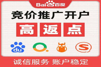 网络推广秘籍：竞价排名成功案例集锦
